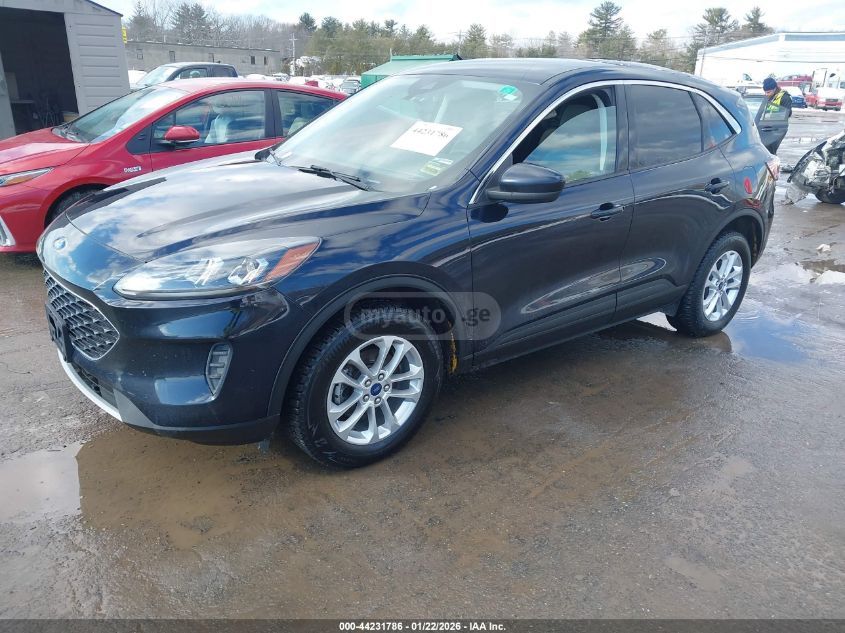 Ford Escape 2021 — photo 2