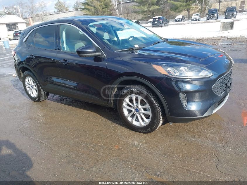 Ford Escape 2021 — photo 2
