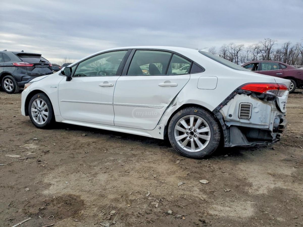 Toyota Corolla 2020 — photo 2