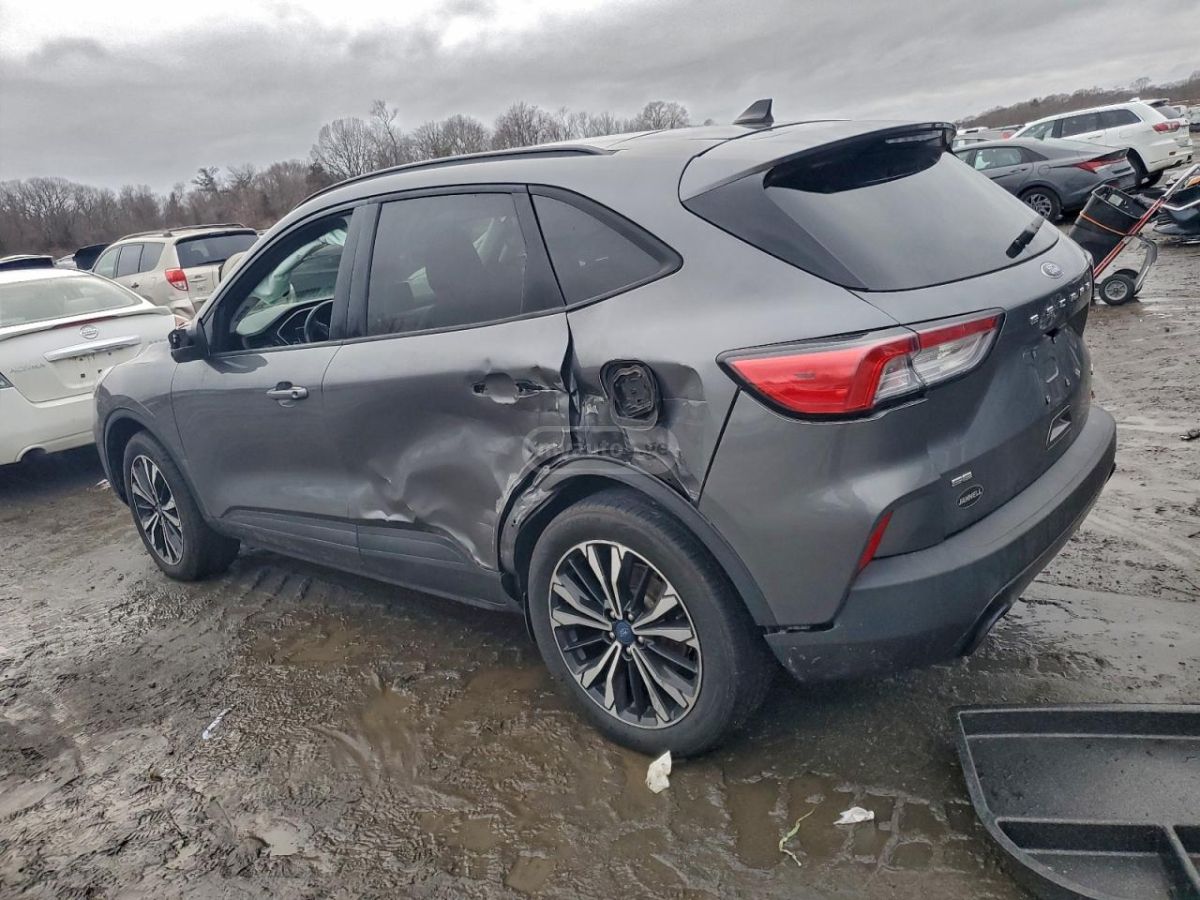 Ford Escape 2021 — photo 2