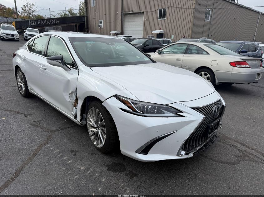 Lexus ES 300 2019 — photo 2