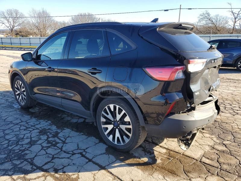 Ford Escape 2020 — photo 2