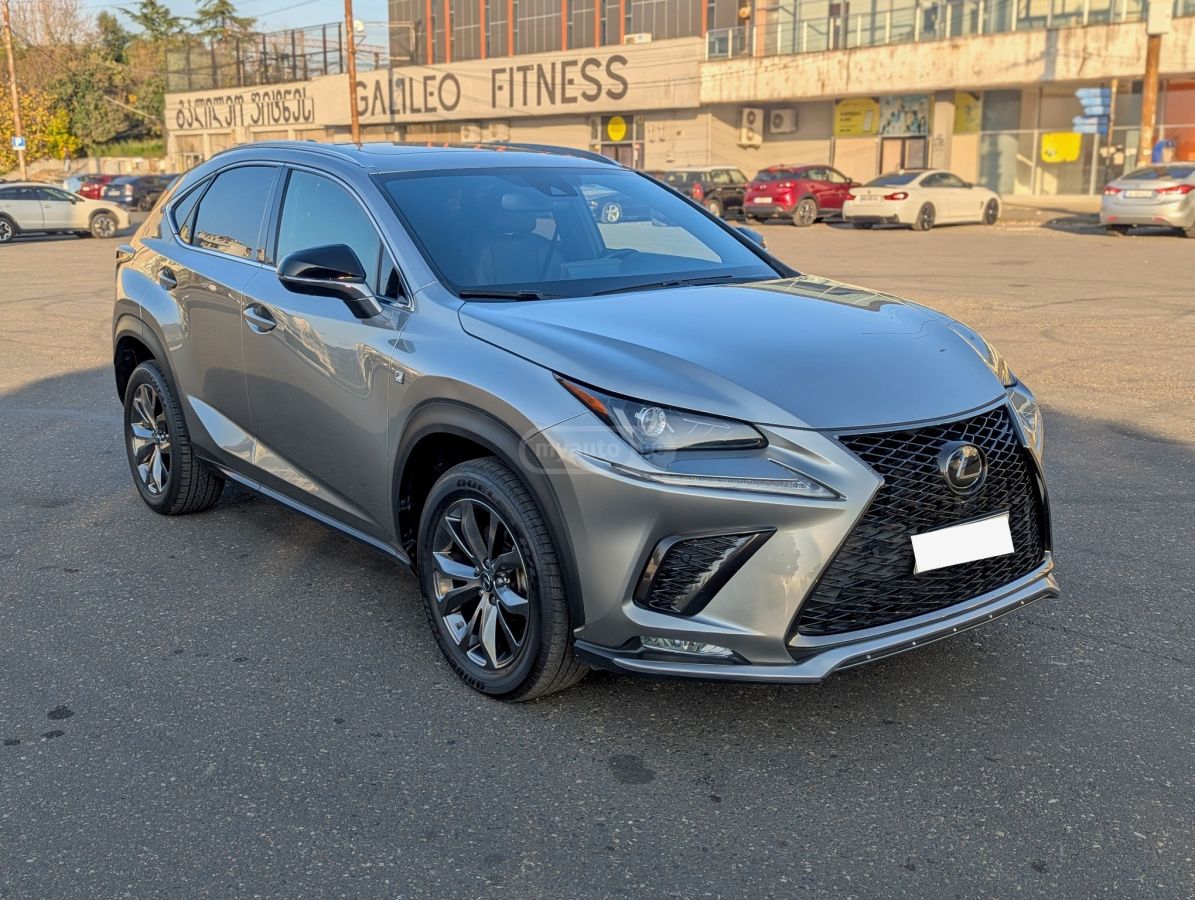 Lexus NX 300 2019 — photo 2