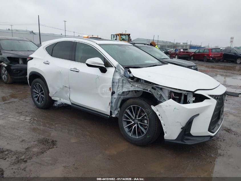 Lexus NX 350 2025 — photo 2