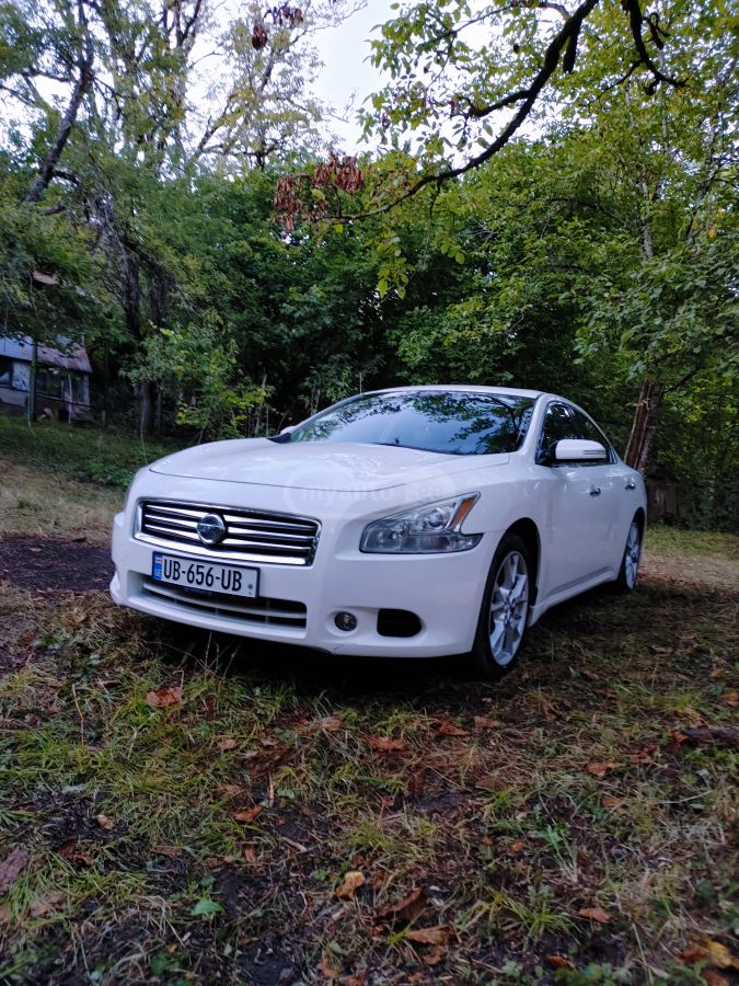 Nissan Maxima 2012 — photo 2