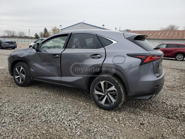 Lexus NX 300 2017 — photo 2