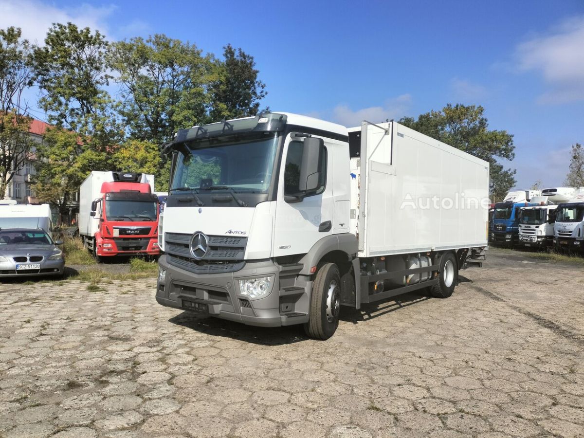 Mercedes-Benz Antos