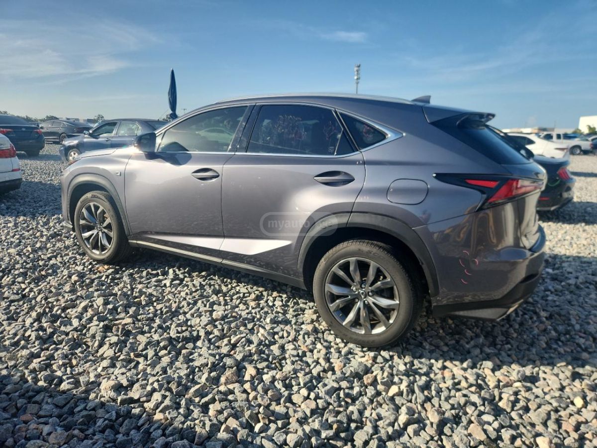 Lexus NX 300 2019 — photo 2