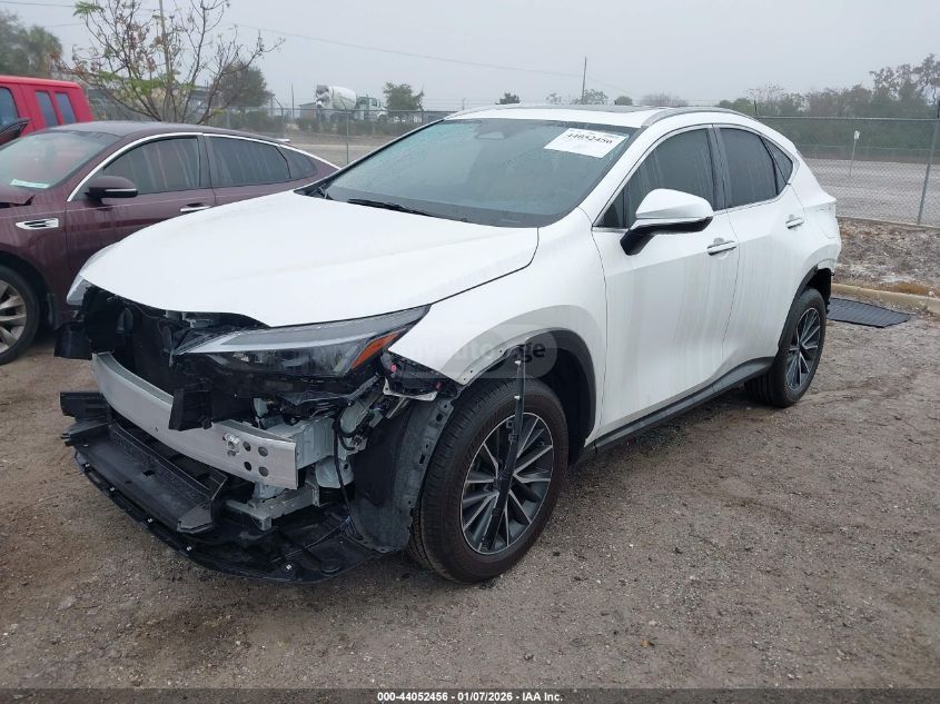 Lexus NX 250 2025 — photo 2