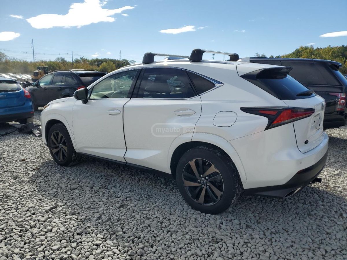 Lexus NX 300 2020 — photo 2