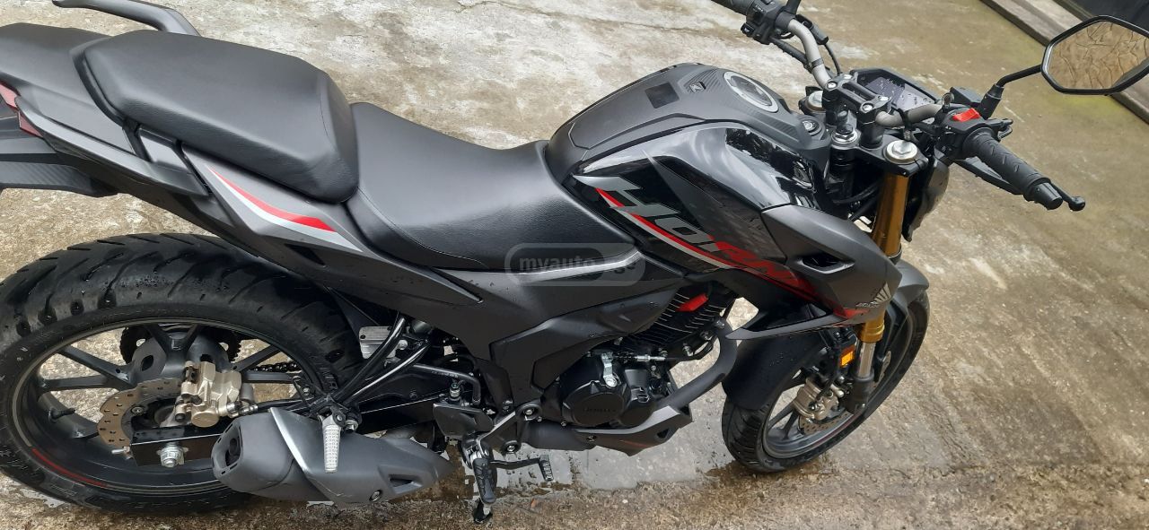 Honda Hornet 2024 — photo 2