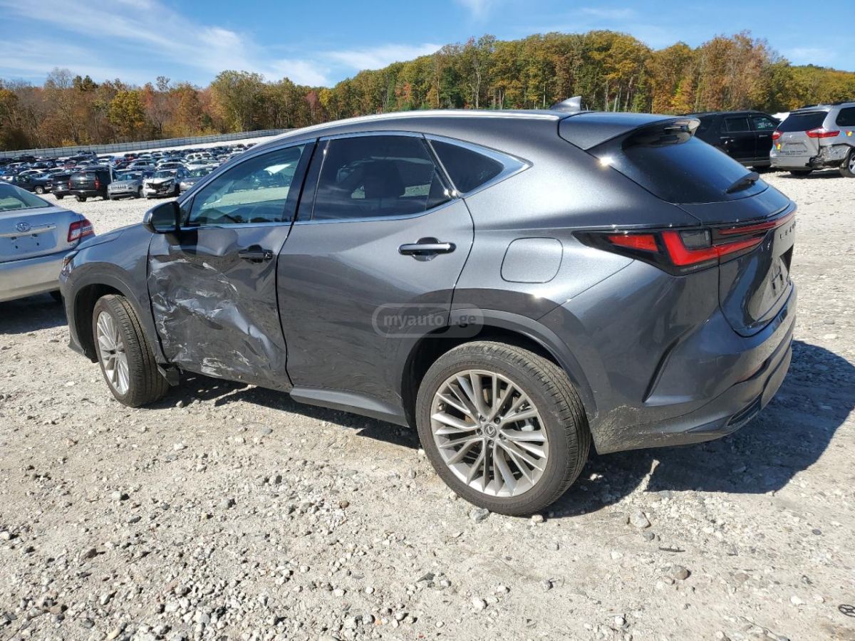 Lexus NX 200 2025 — photo 2