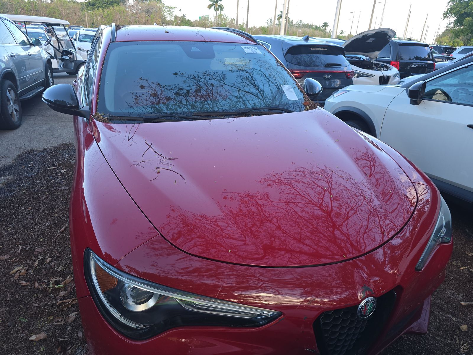 Alfa Romeo Stelvio 2021 — photo 2