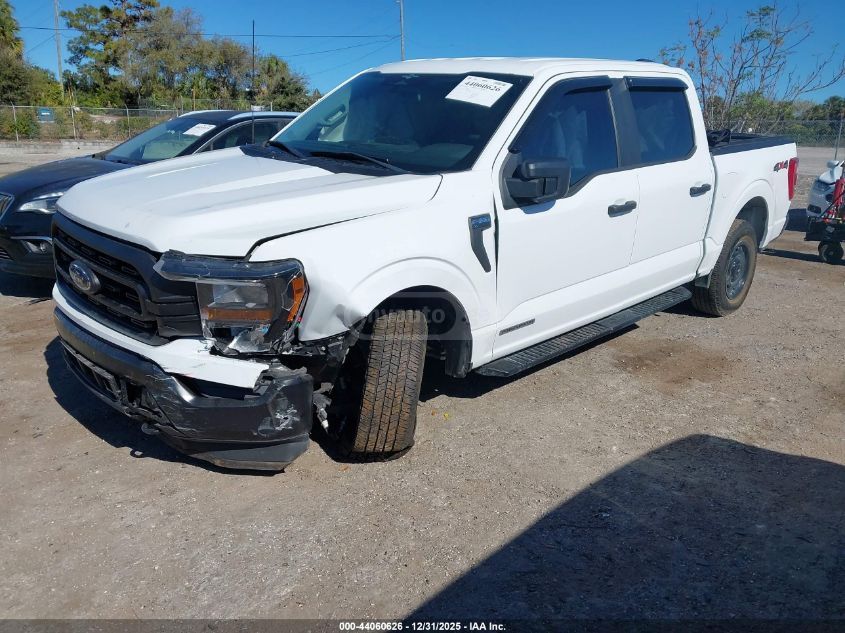 Ford F-150 2023 — photo 2