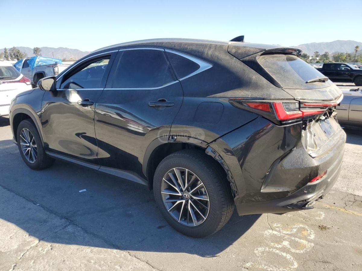 Lexus NX 200 2024 — photo 2