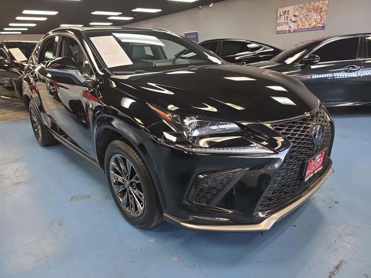 Lexus NX 250 2021 — photo 2