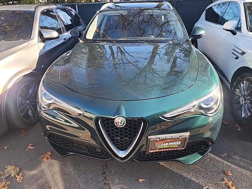 Alfa Romeo Stelvio 2019 — photo 2