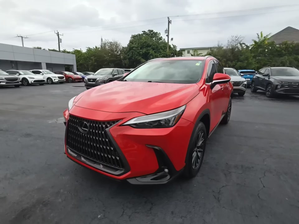 Lexus NX 250
