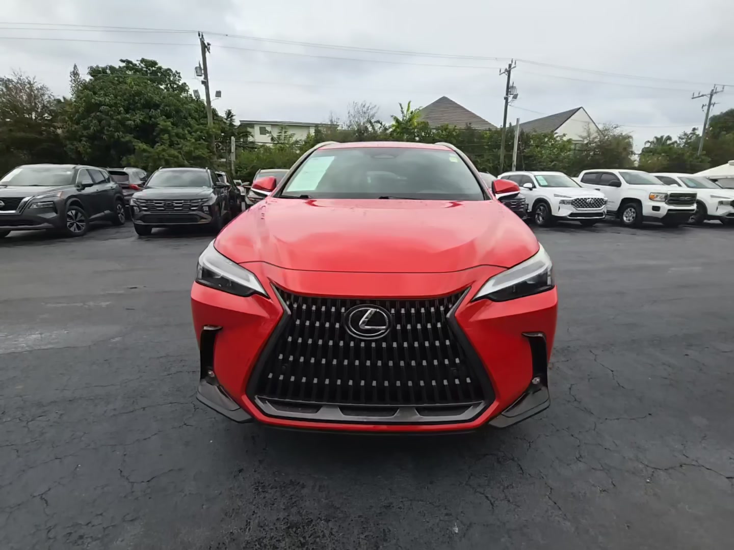 Lexus NX 250 2024 — photo 2