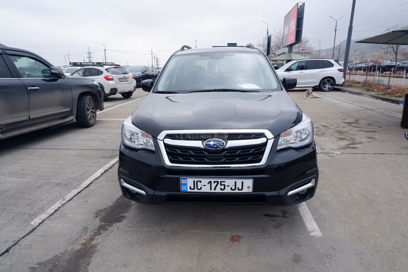 Subaru Forester 2016 — photo 2