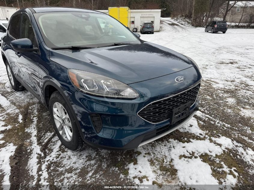 Ford Escape 2020 — photo 2