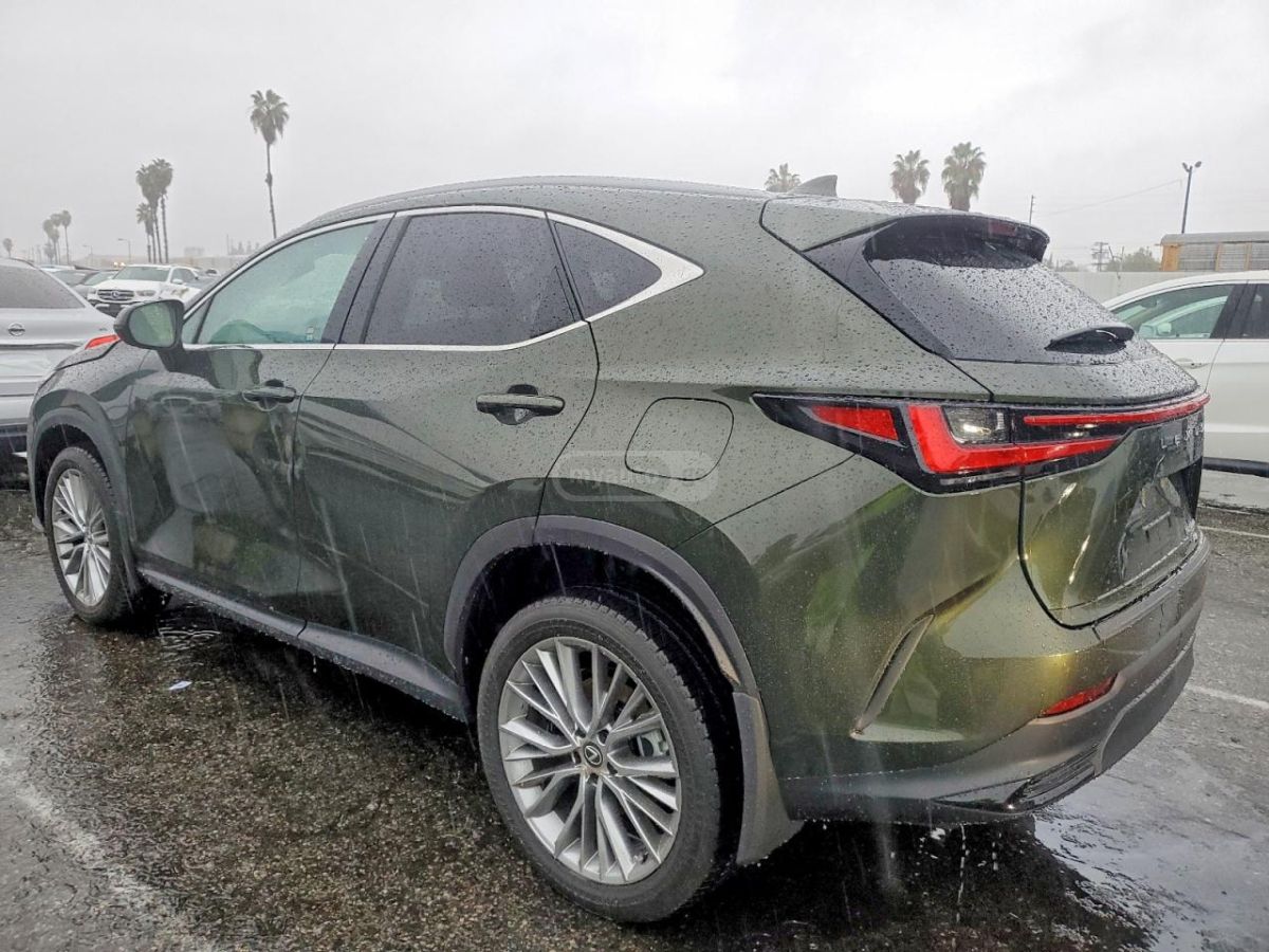 Lexus NX 350 2025 — photo 2