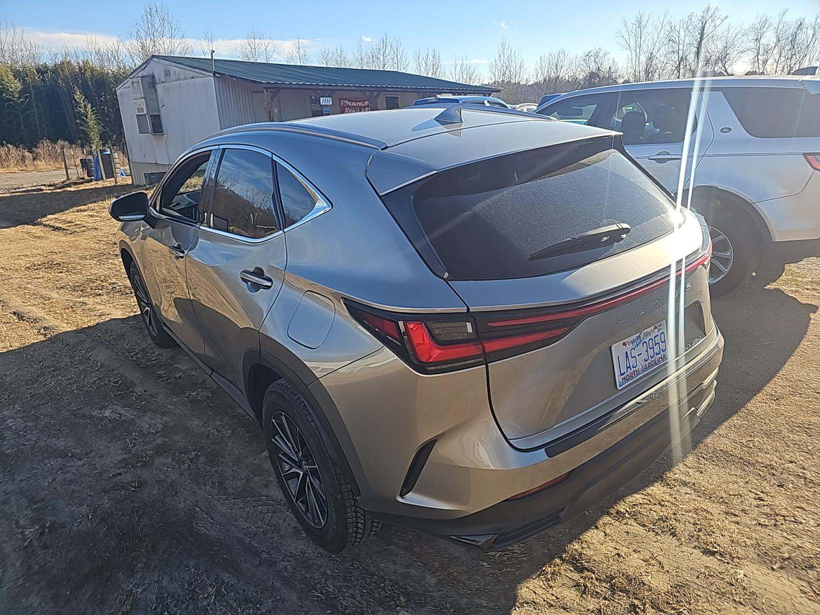 Lexus NX 250 2024 — photo 2