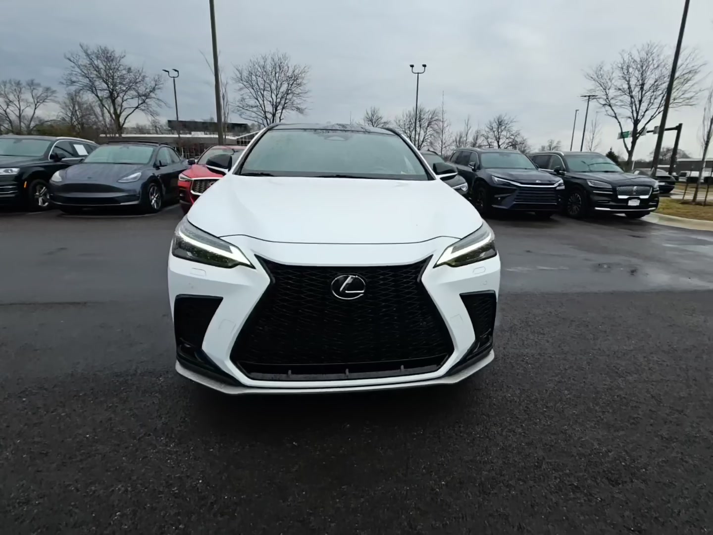 Lexus NX 350 2023 — photo 2