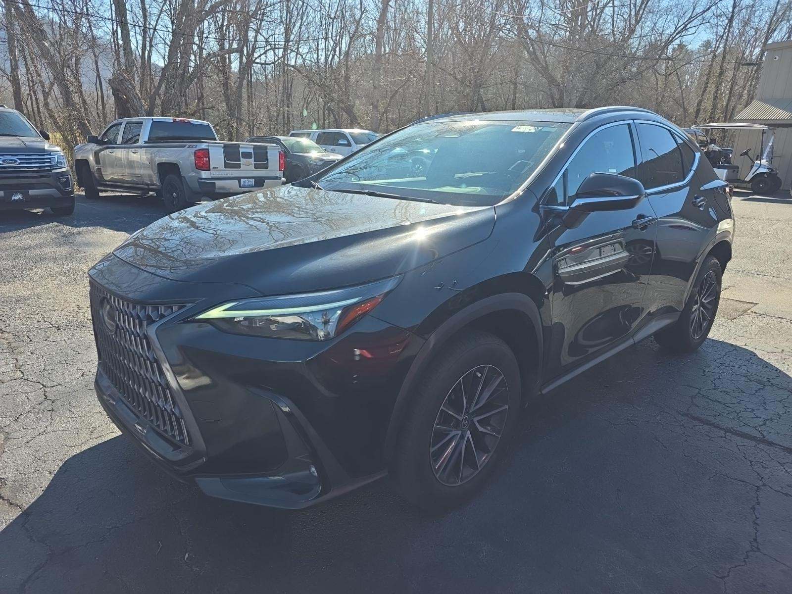 Lexus NX 250