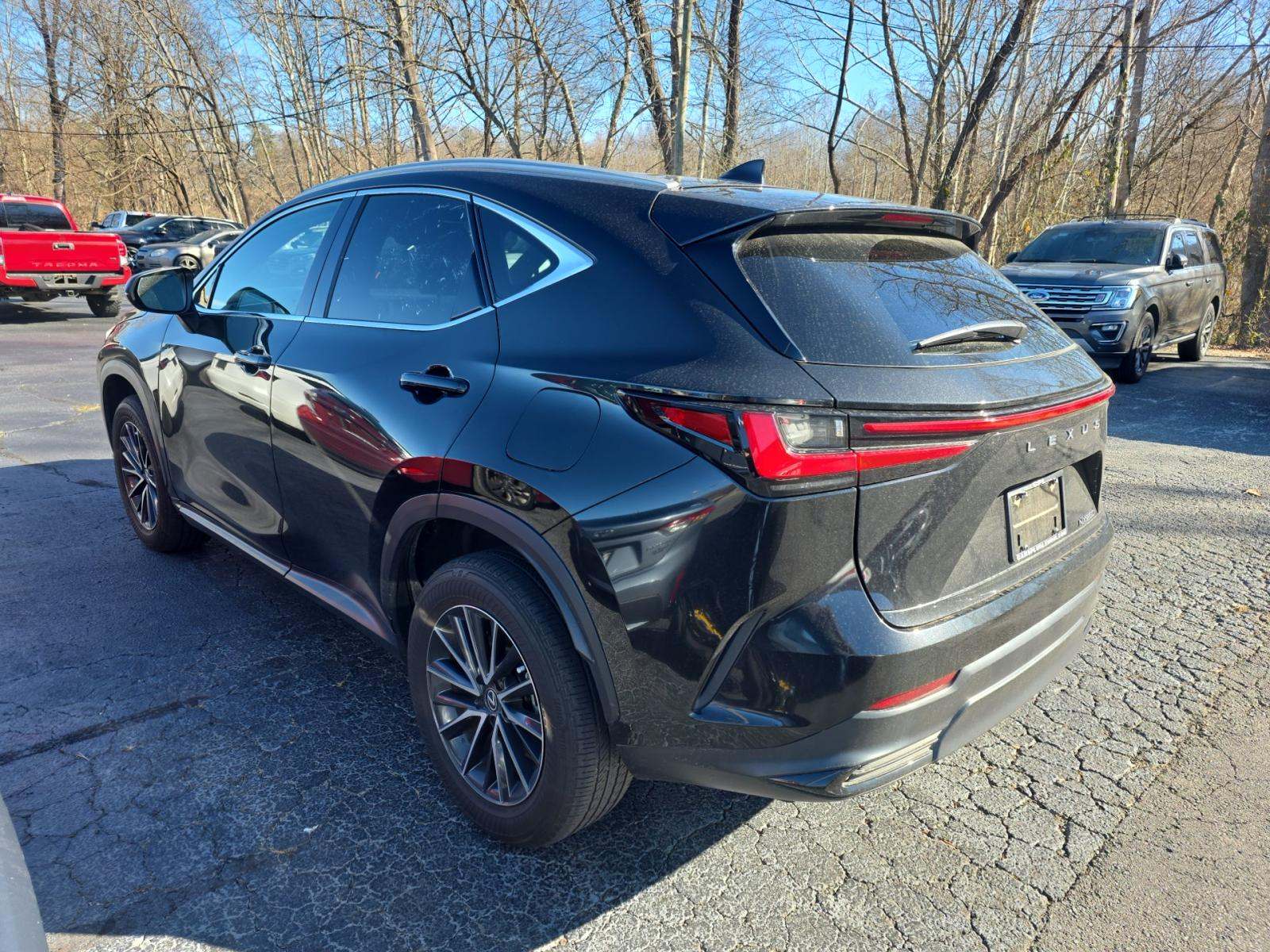 Lexus NX 250 2024 — photo 2