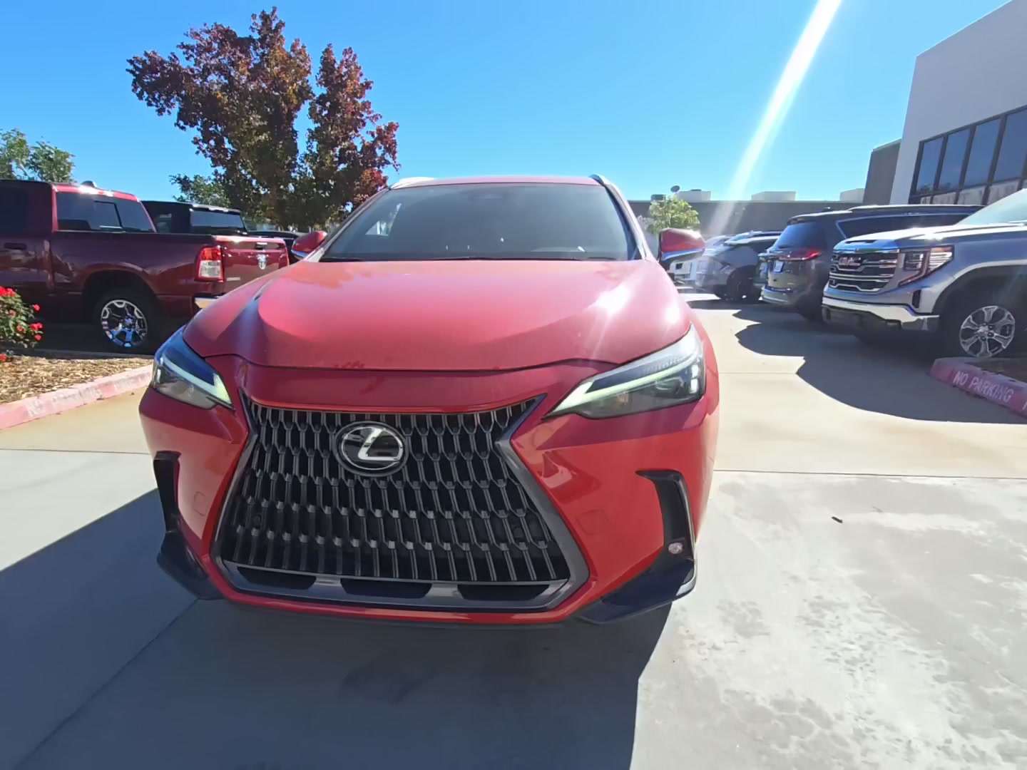 Lexus NX 350 2023 — photo 2