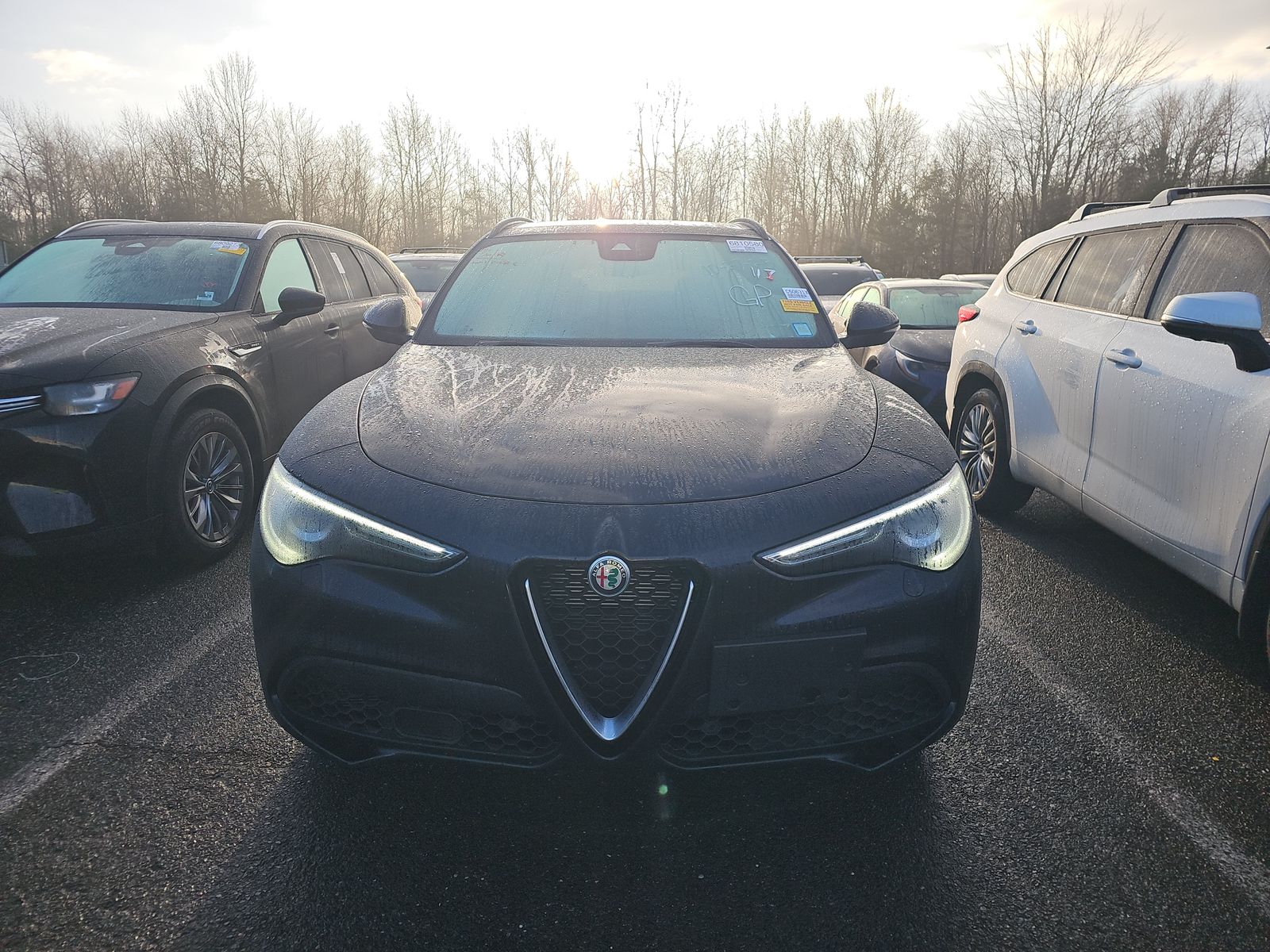 Alfa Romeo Stelvio 2022 — photo 2