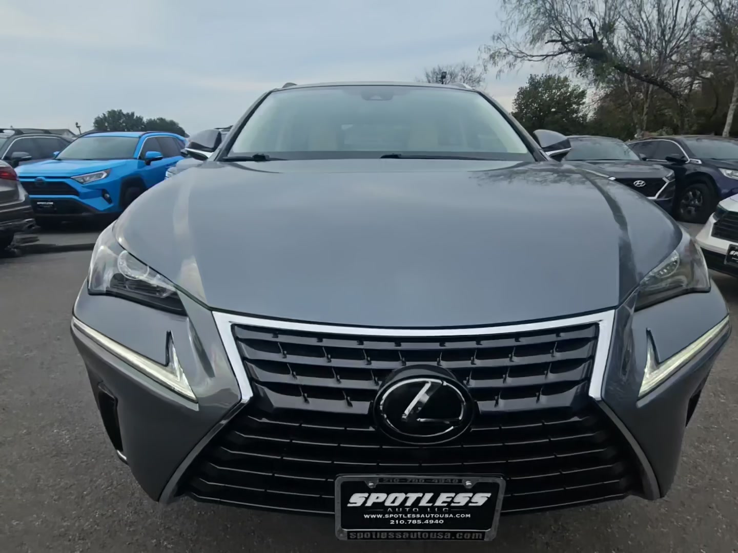 Lexus NX 300 2020 — photo 2
