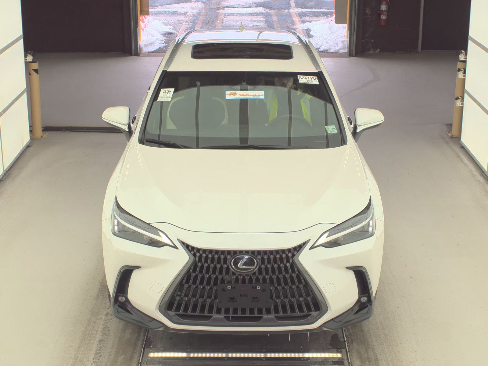 Lexus NX 350 2024 — photo 2
