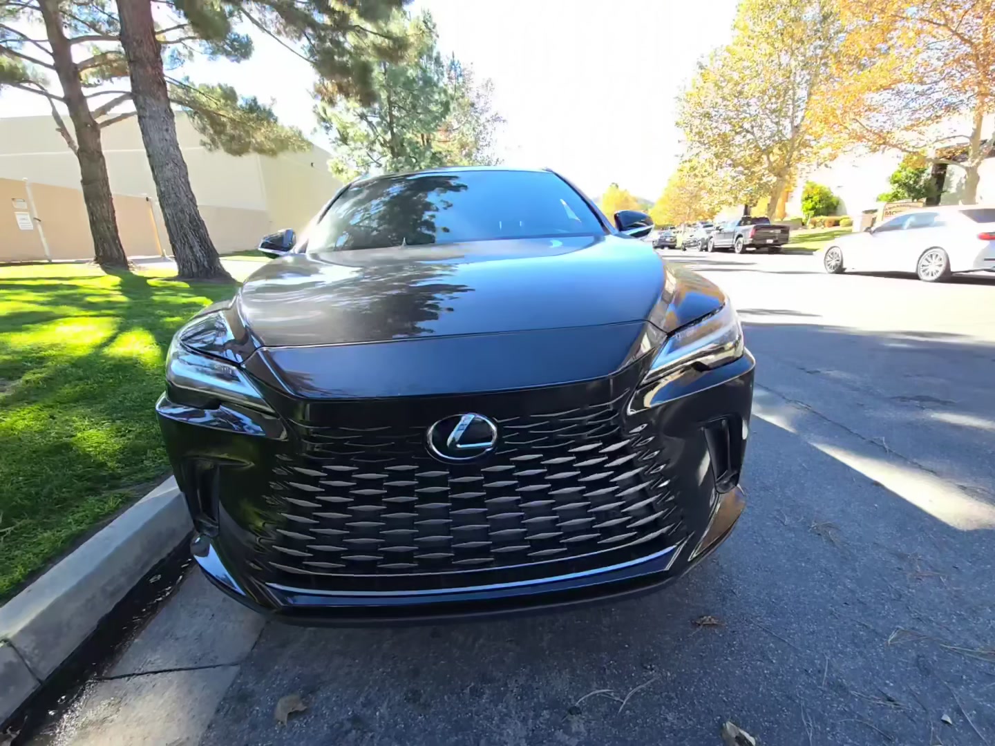 Lexus RX 350 2023 — photo 2
