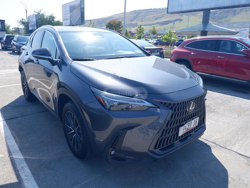 Lexus NX 350 2023 — photo 2