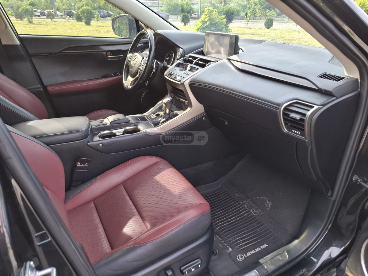 Lexus NX 300 2019 — photo 2