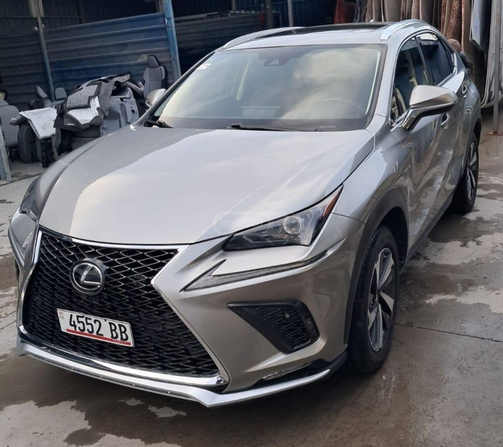 Lexus NX 300 2019 — photo 2