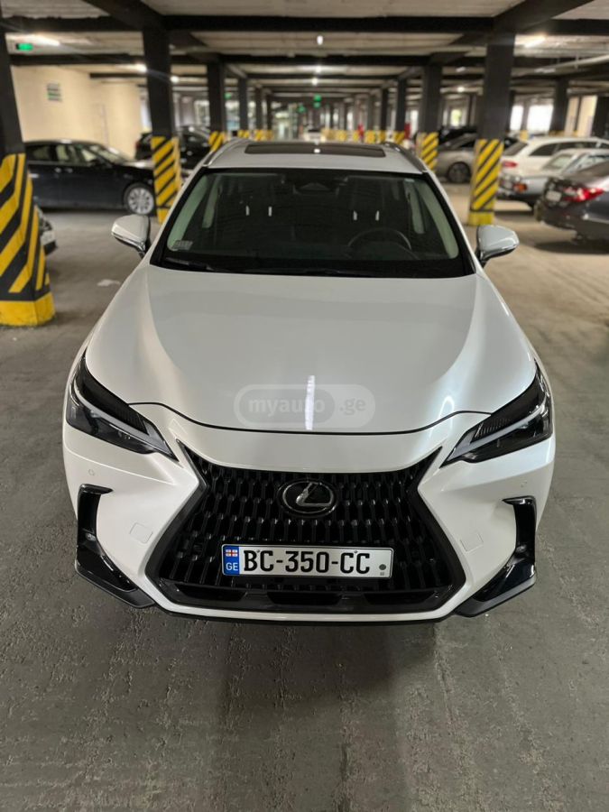 Lexus NX 350 2023 — photo 2