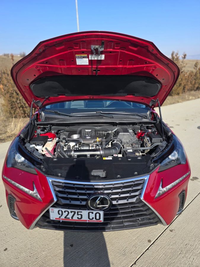 Lexus NX 300 2018 — photo 2