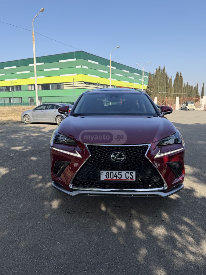 Lexus NX 300 2021 — photo 2