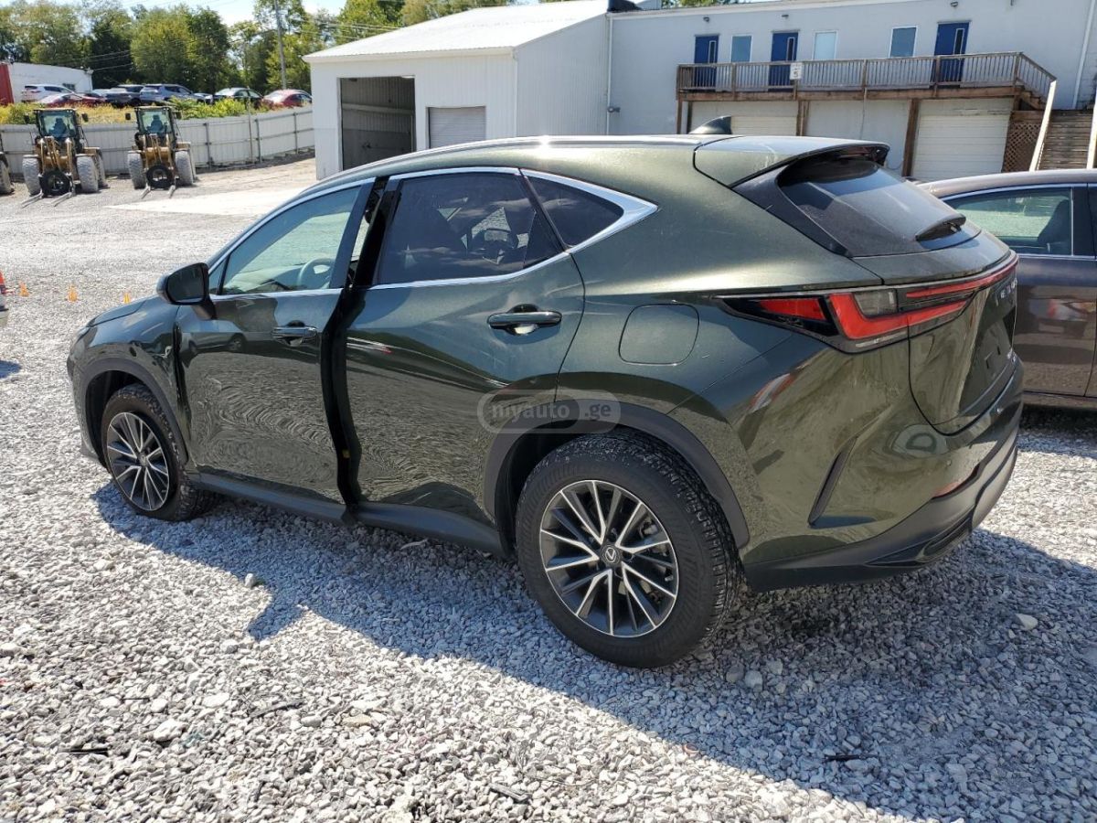 Lexus NX 350 2023 — photo 2