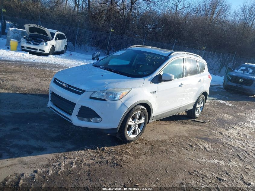 Ford Escape