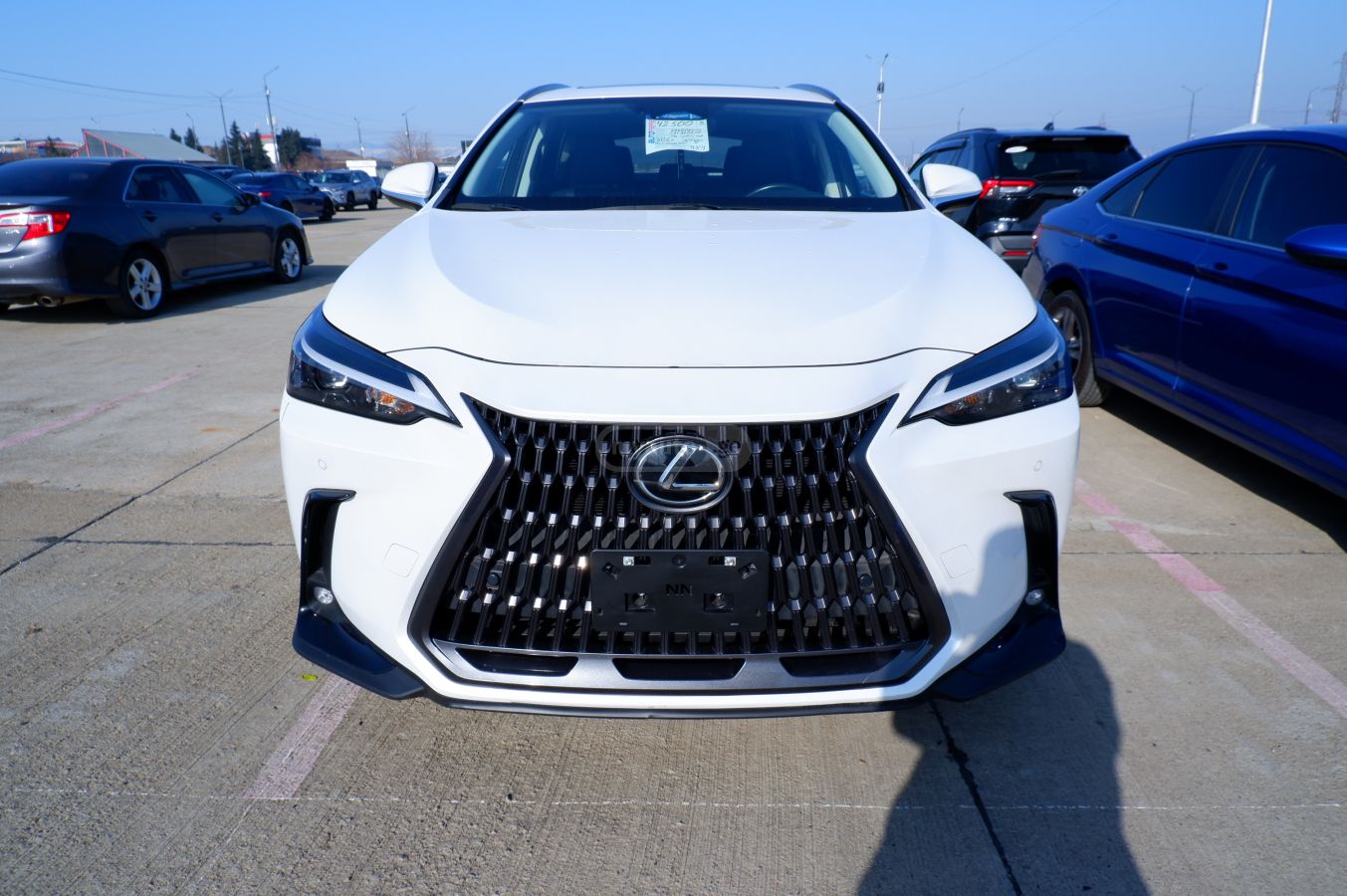 Lexus NX 350 2023 — photo 2