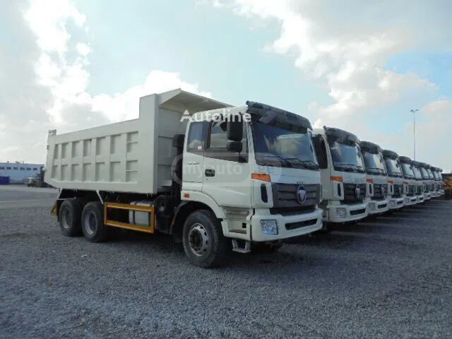 Foton 254 2015 — photo 2