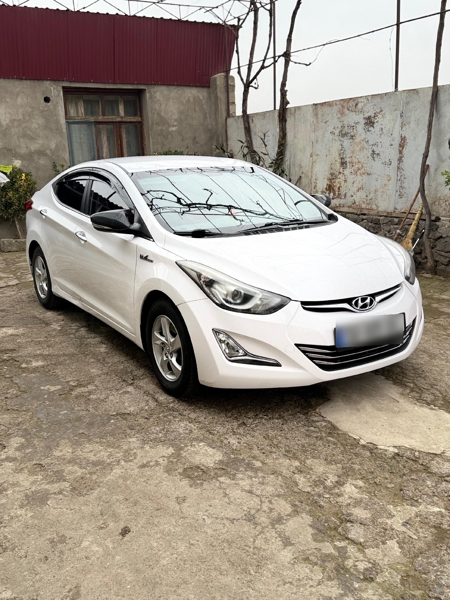 Hyundai Avante 2014 — photo 2