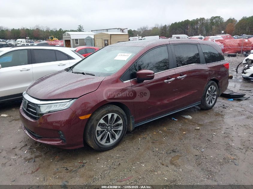 Honda Odyssey 2021 — photo 2