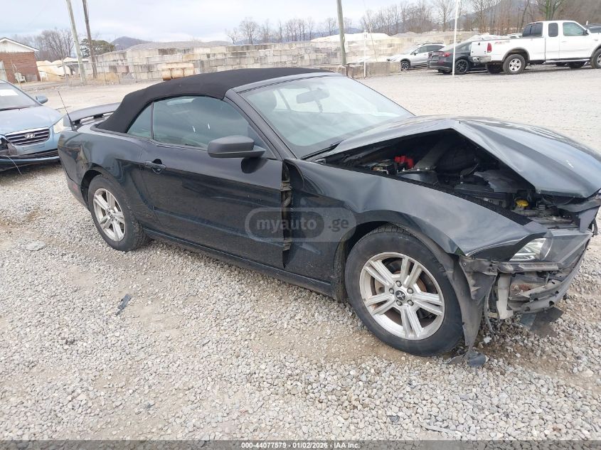 Ford Mustang 2014 — photo 2
