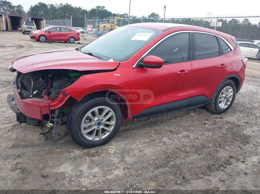 Ford Escape 2020 — photo 2