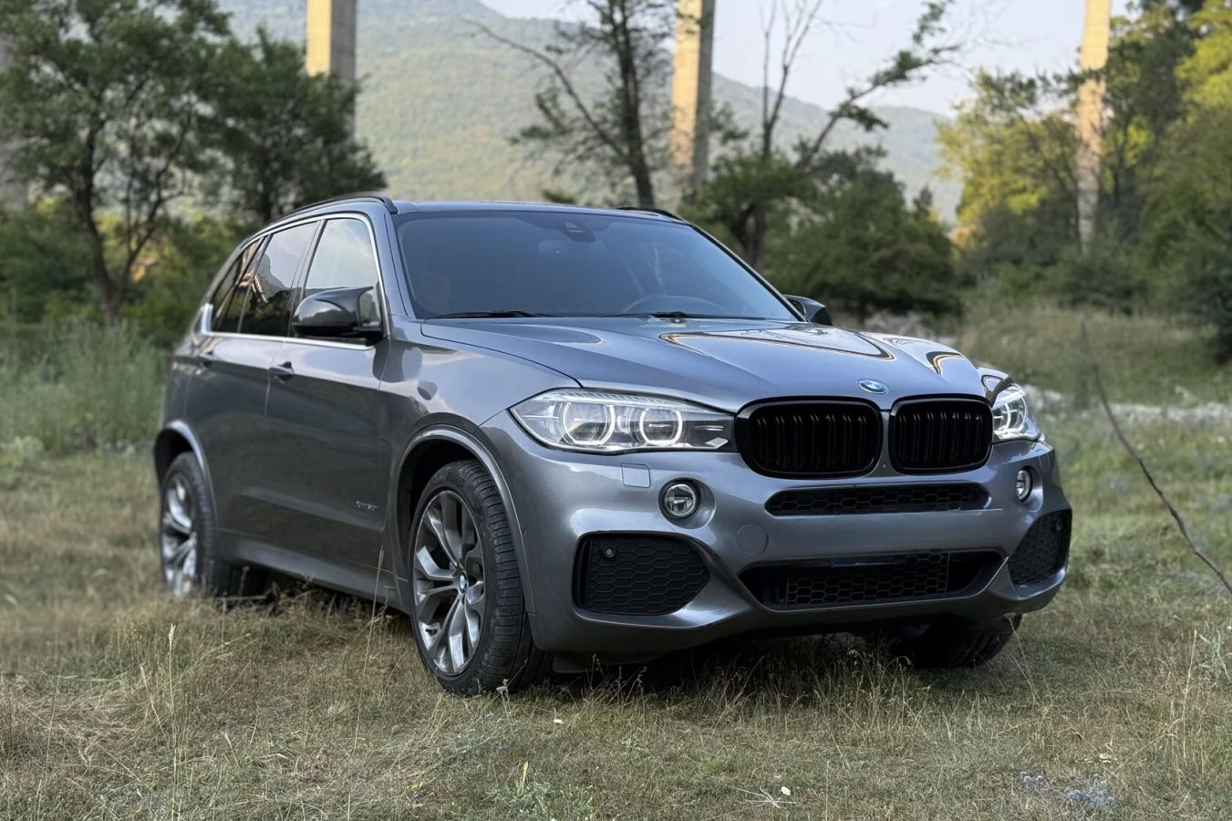 BMW X5